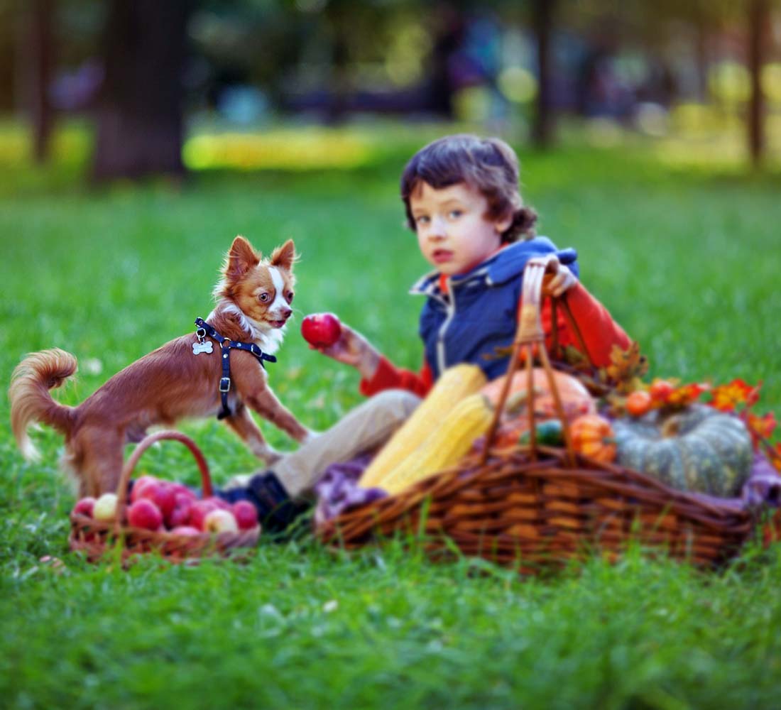 Çocuklarda Köpek Korkusu ve Bunu Aşma Yöntemleri