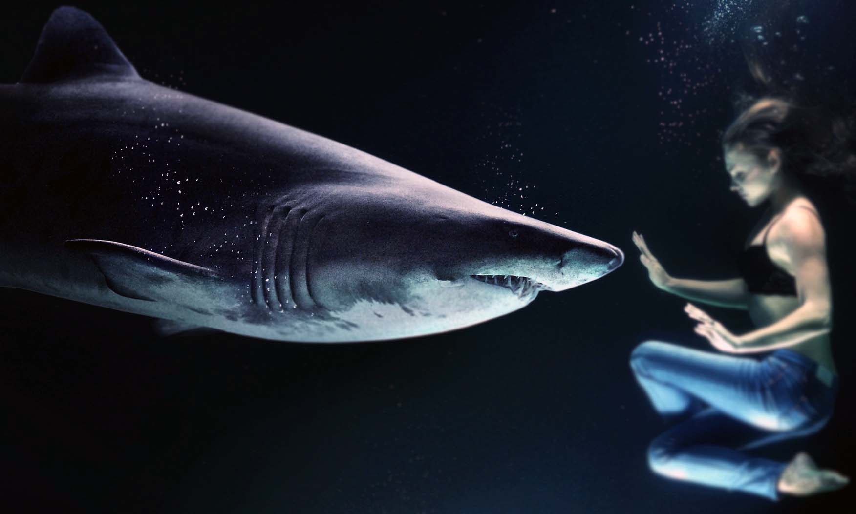 İstatistiksel Olarak Saldırı Yaşanma İhtimali Köpek Balığından Daha