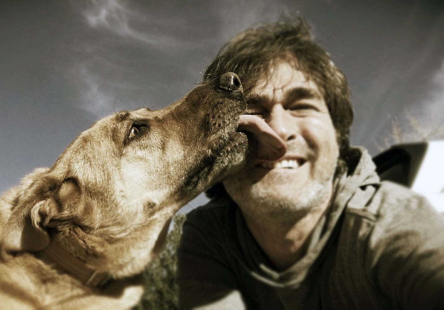Köpeğinizin Sizi Yalaması Ne Anlatmak İstiyor?