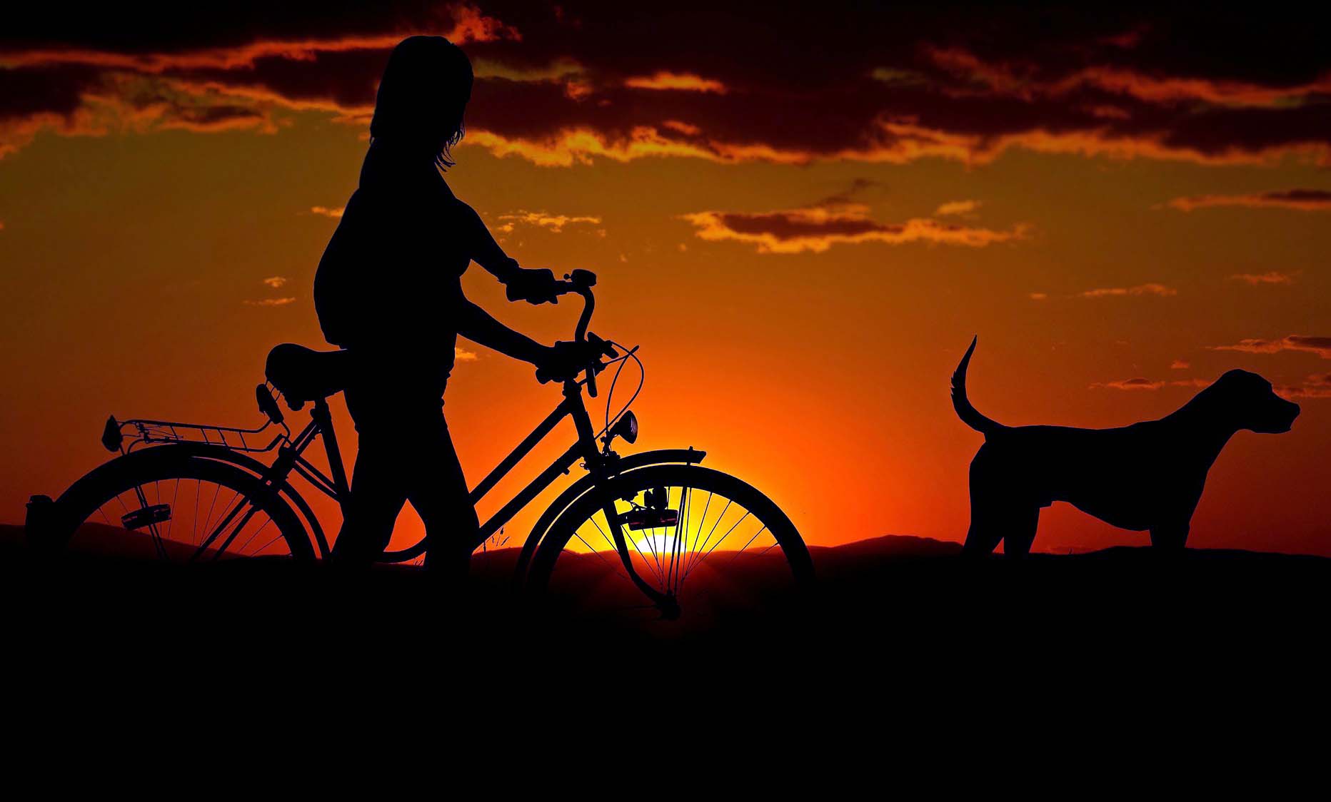 Sadece Köpek Sahiplerinin Anlayabileceği 8 Durum