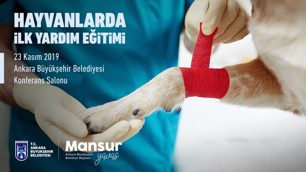 Ankarada "Hayvanlarda İlk Yardım Eğitimi" Etkinliği