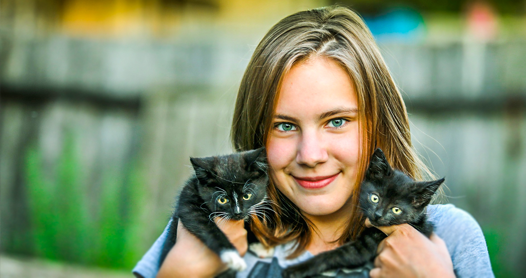 Kedi Bakımında Doğru Bilinen Yanlışlar