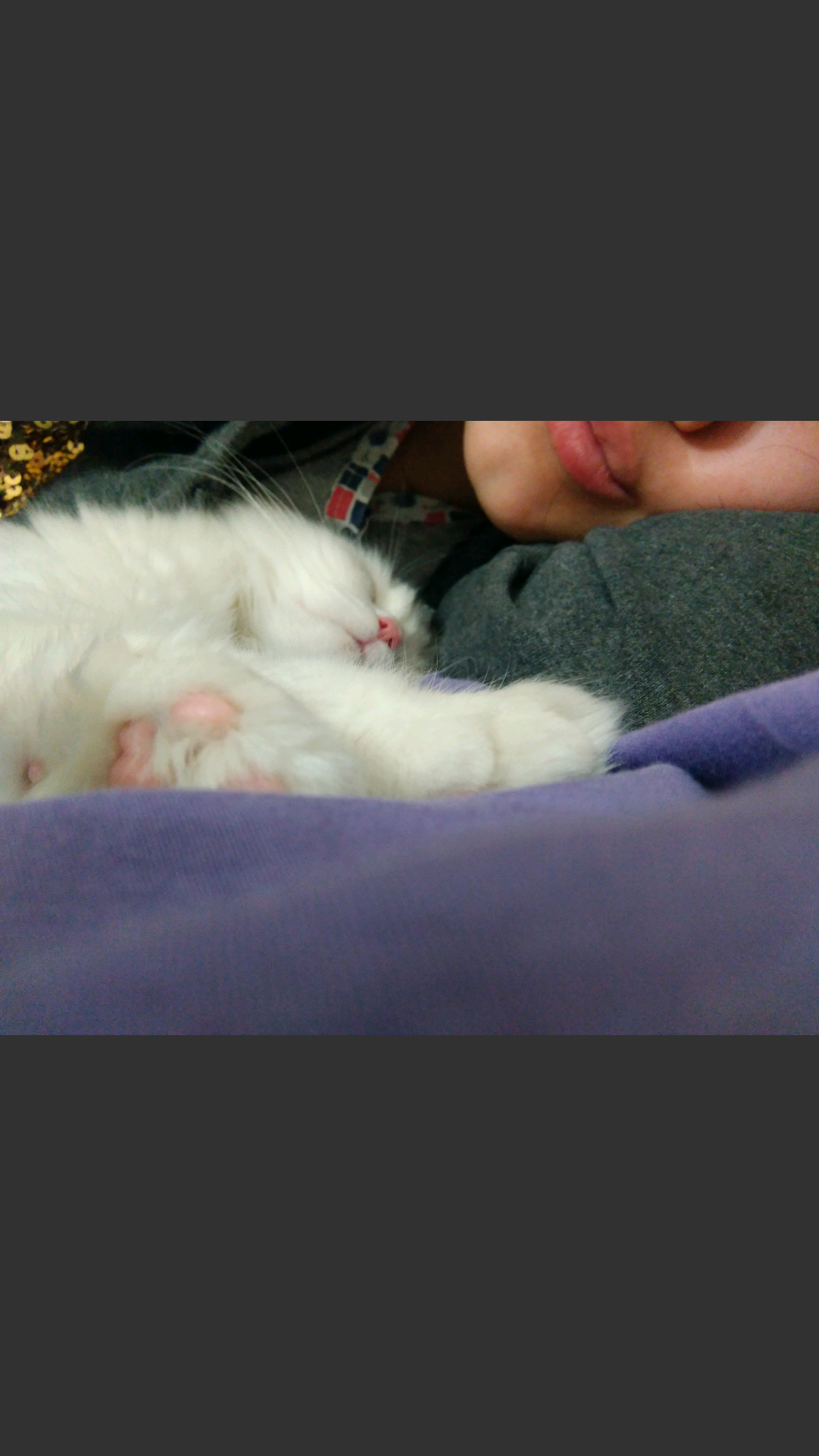 CatMars