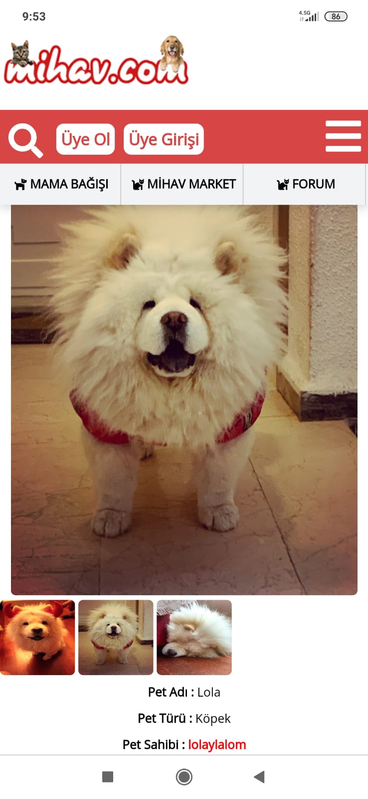 lolaylalom