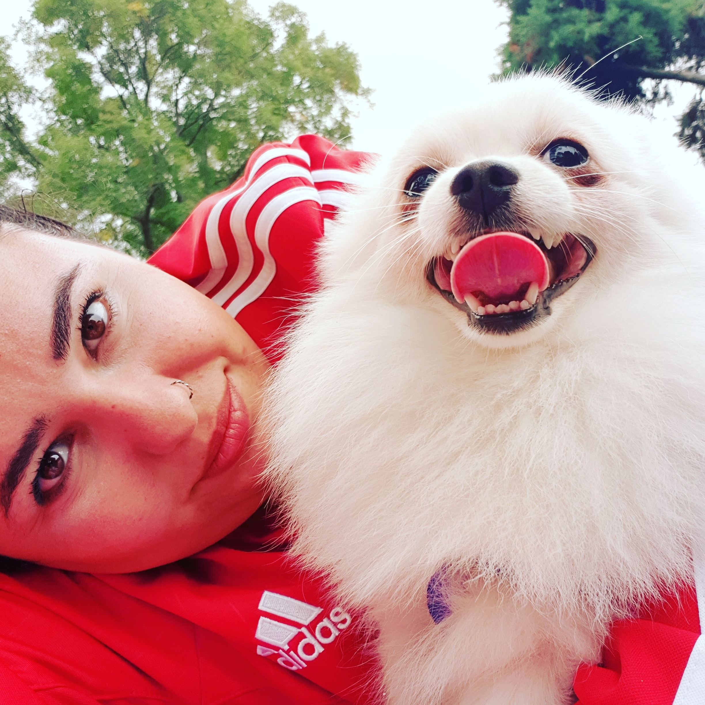 Fox_Cüce