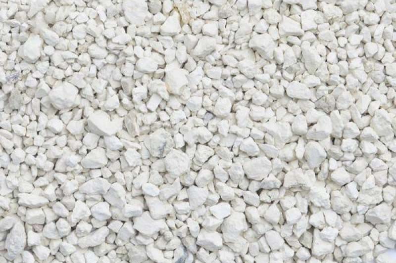 Kedi Kumu Çeşitleri Nelerdir? Hangisi Daha İyi?