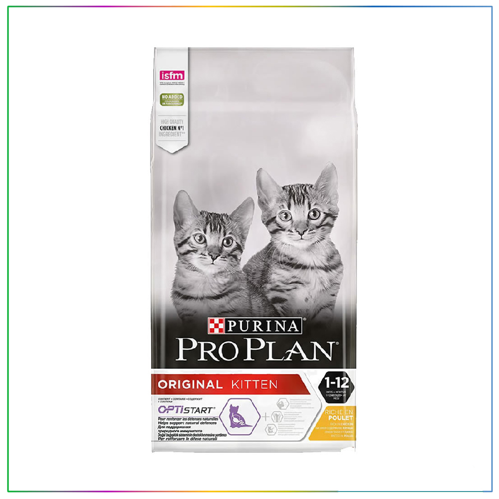 proplan 10 kg yavru kedi maması