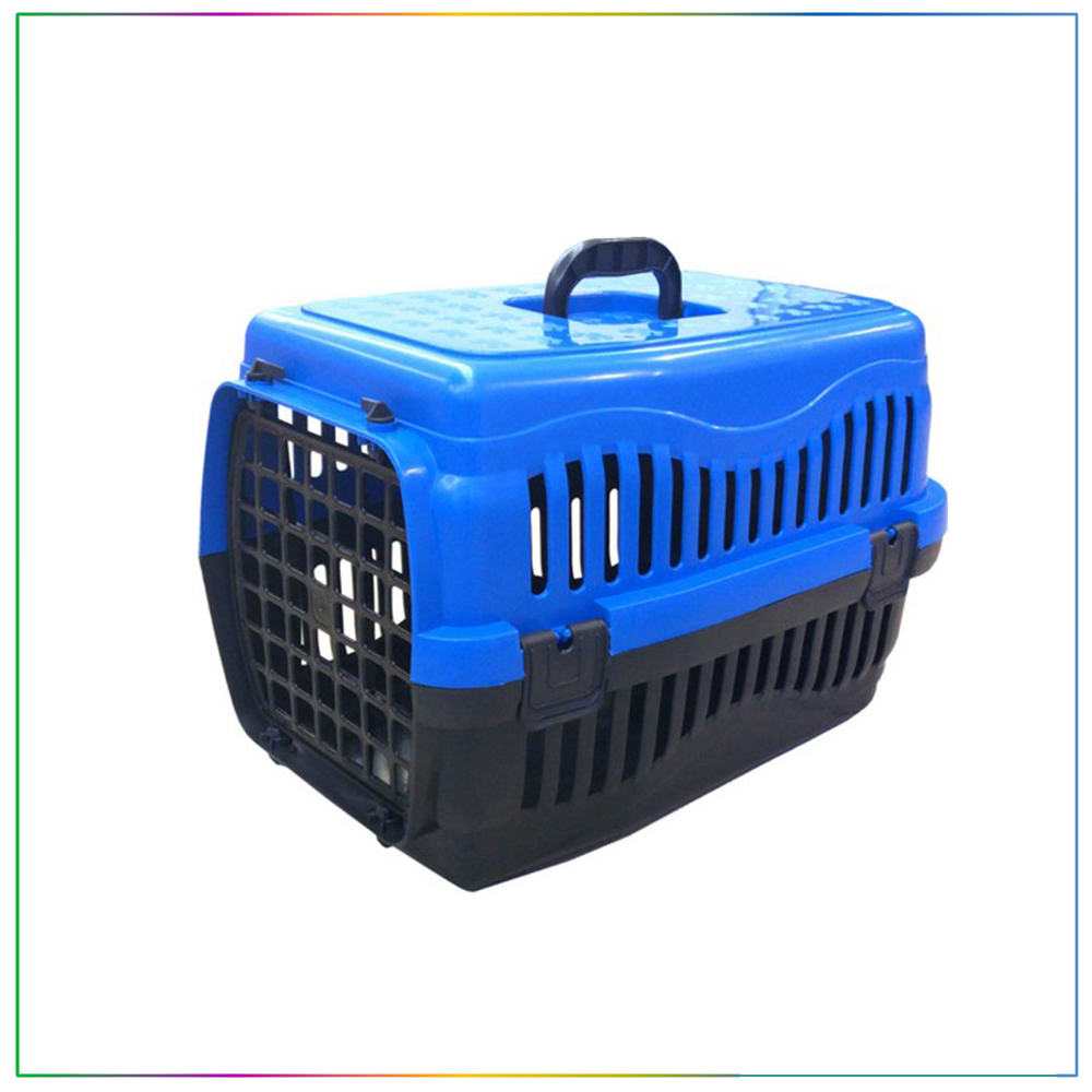 kedi köpek beslenme hastalıkları