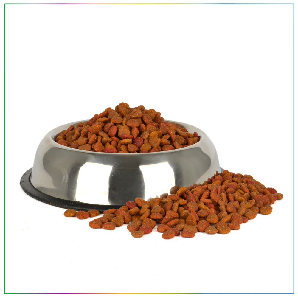renkli kedi maması