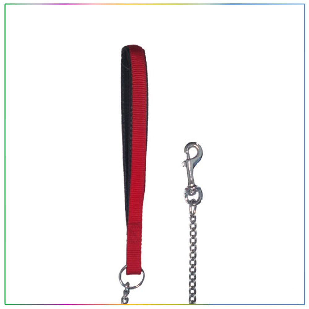 Eastland Tutmalı Köpek 2mm Gezdirme İpi Zinciri 120cm