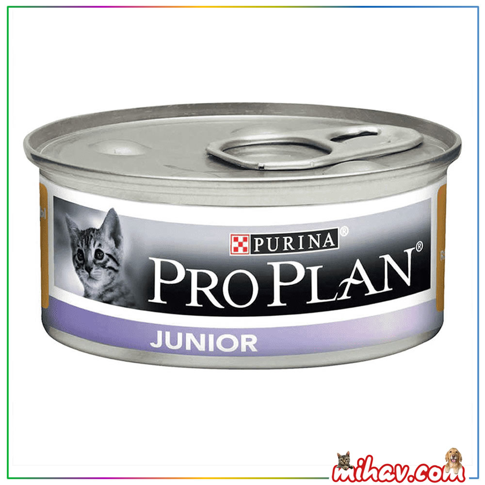 Pro Plan Junior Tavuk Etli Yavru Kedi Konservesi 85Gr