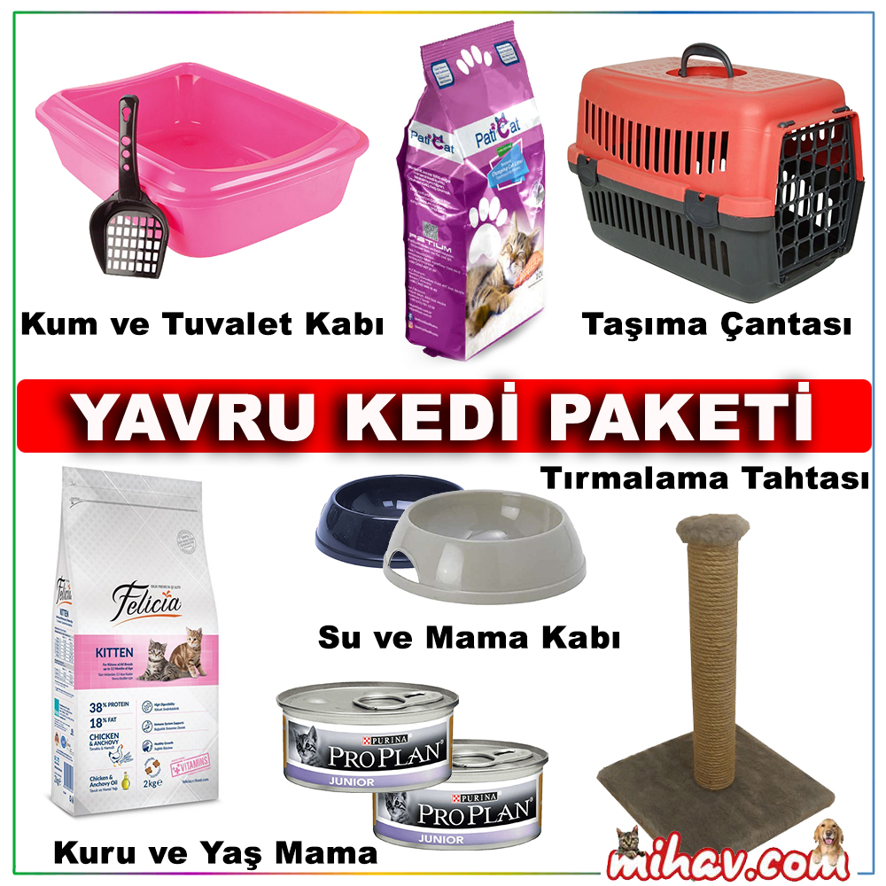 Yavru Kedi Paketi 2