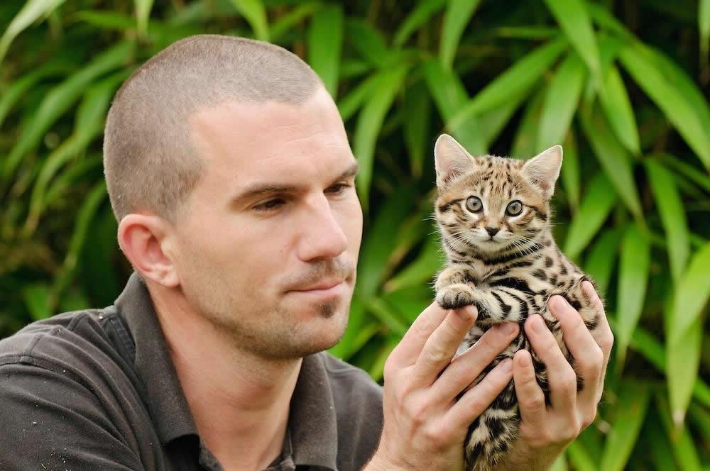 Dünyanın En Küçük Kedisi Paslı Kedi